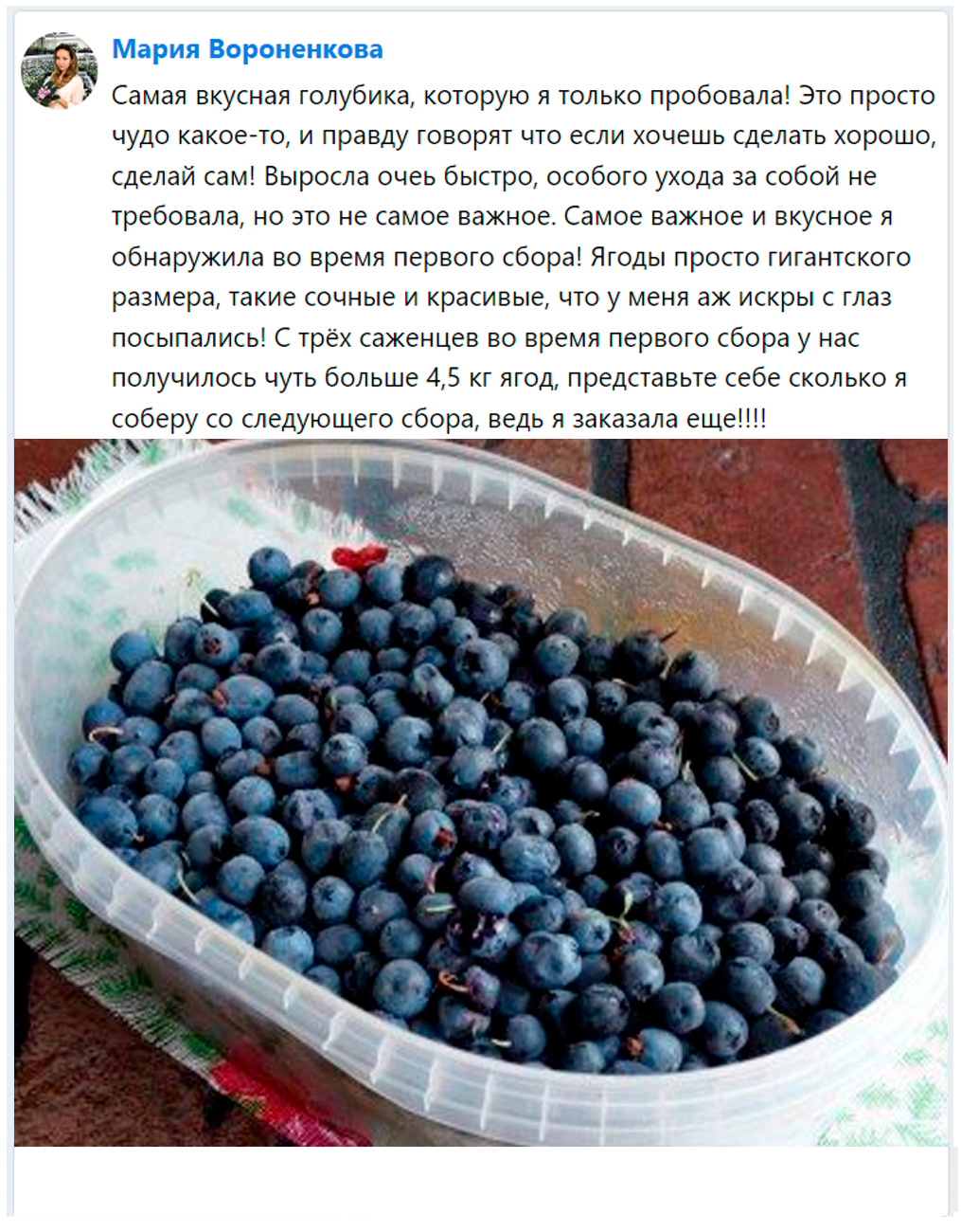 Заголовок