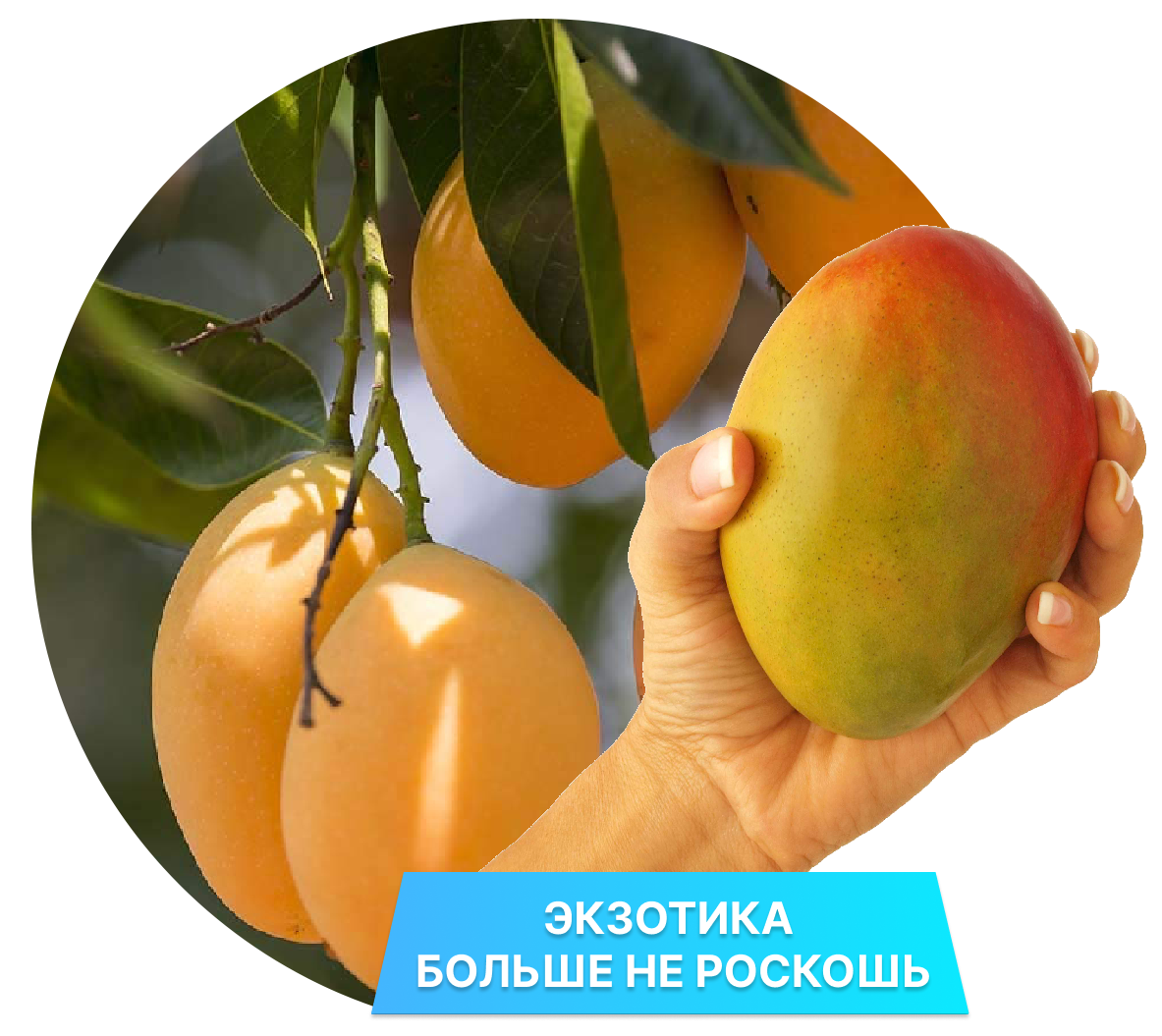 Заголовок
