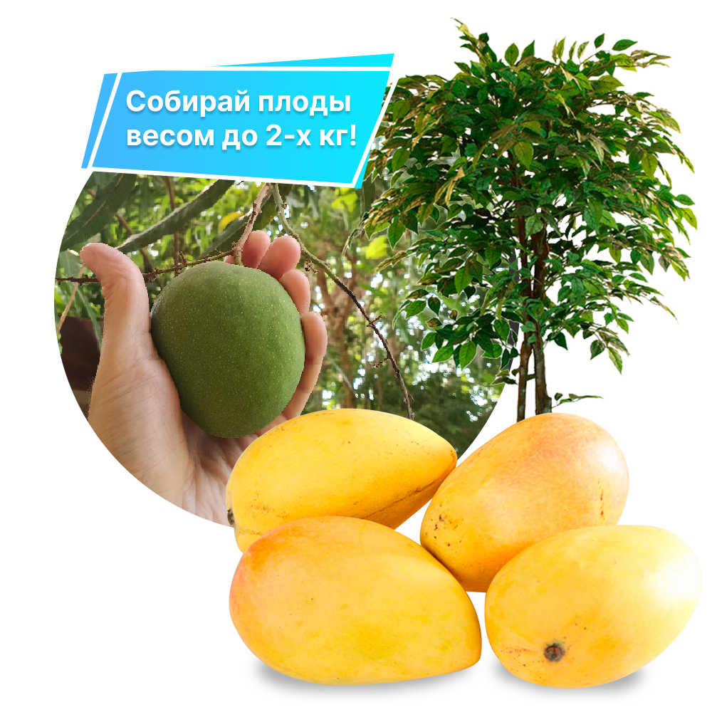 Заголовок