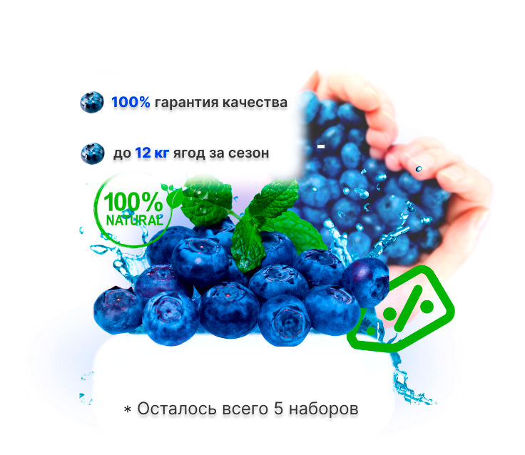 Заголовок