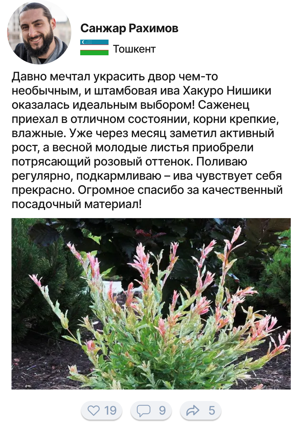 Заголовок