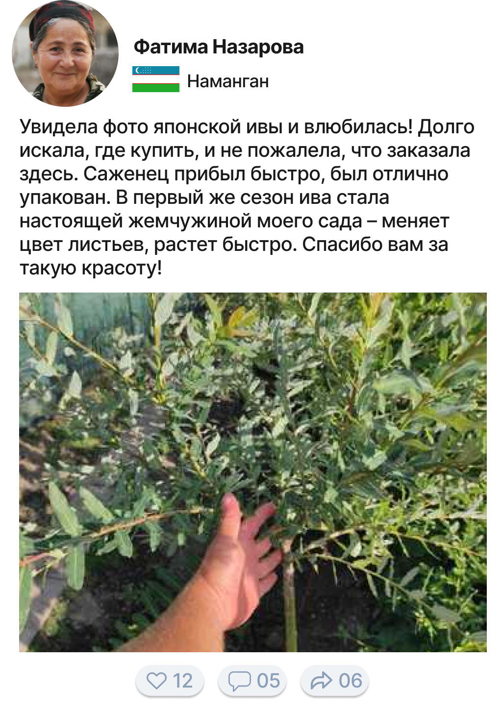 Заголовок