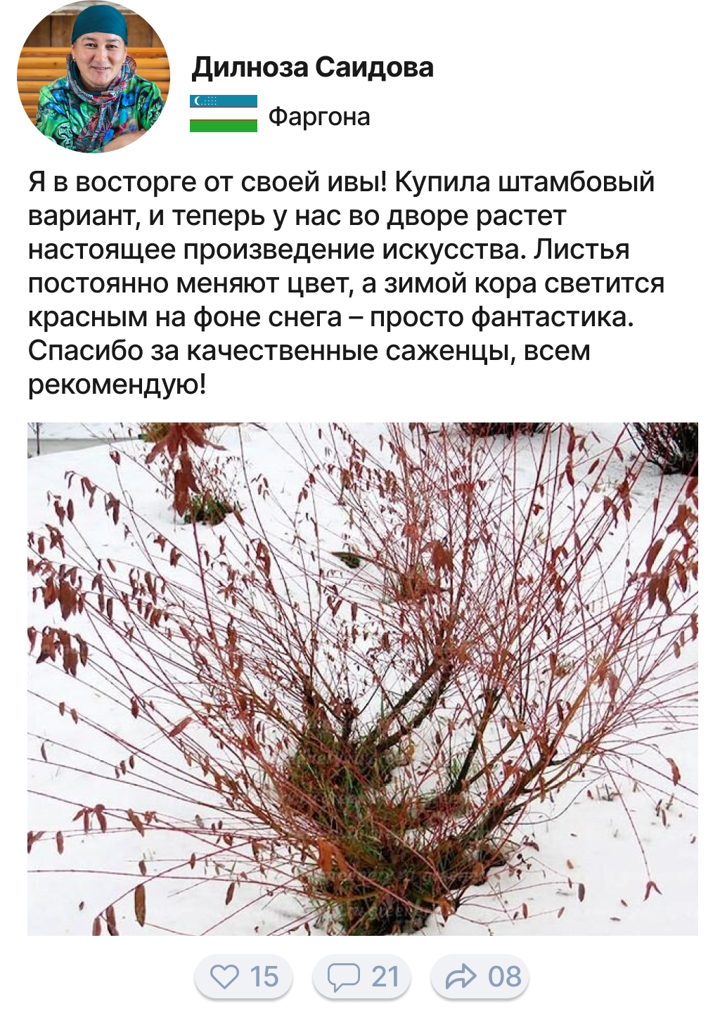 Заголовок