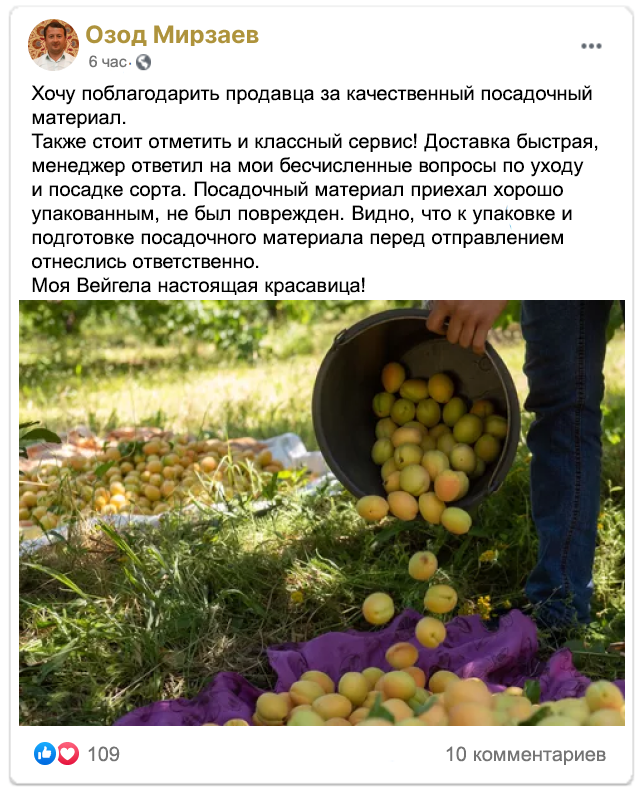 Заголовок