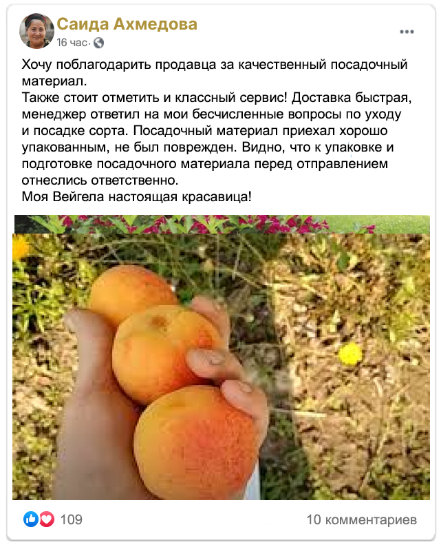 Заголовок