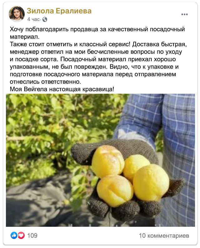 Заголовок